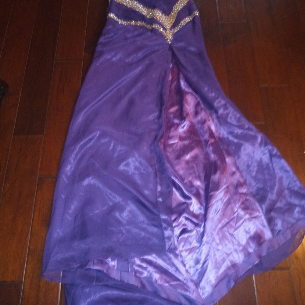 Purple Ritzee Original Dress - Picture 4 of 6